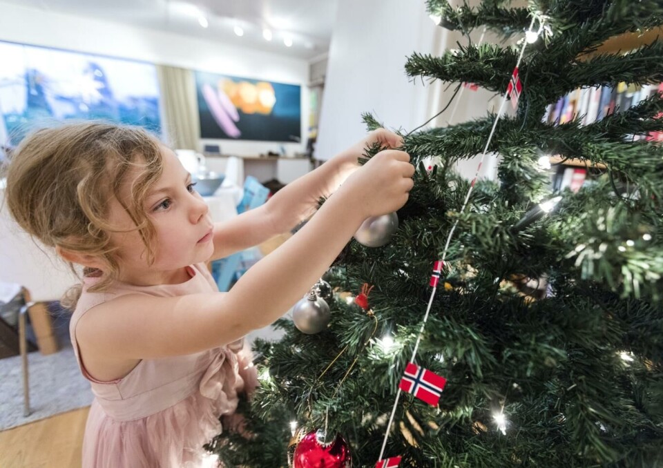I fjor ble 200.000 juletrær importert fra Danmark til Norge. Foto: Gorm Kallestad / NTB