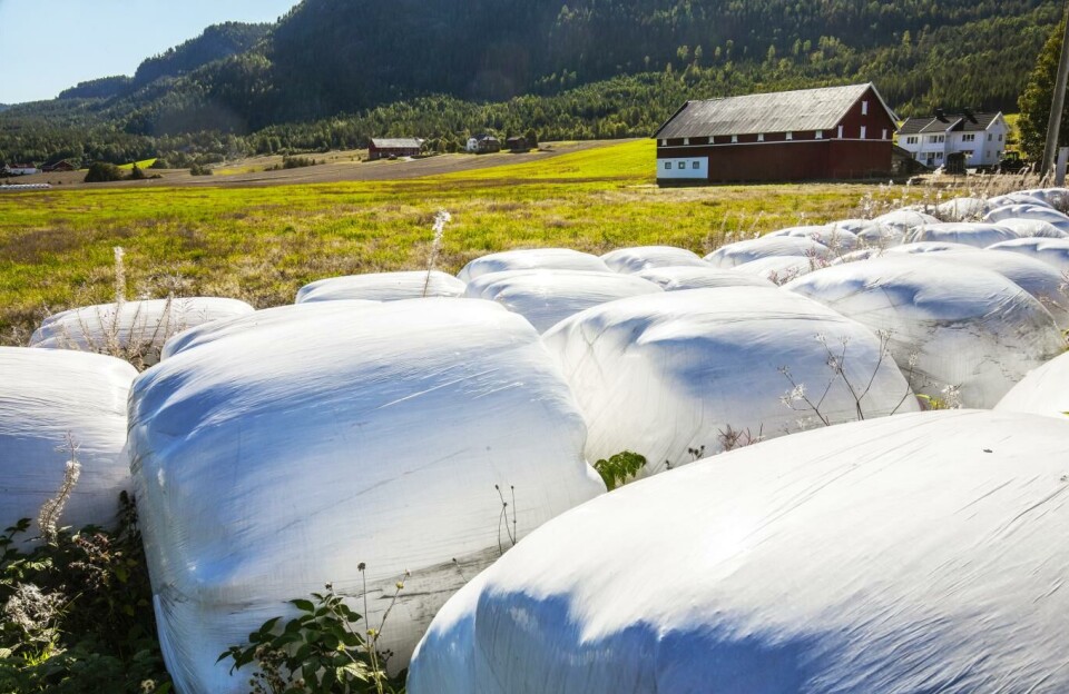 Rundballer på et jorde i Sigdal kommune i Buskerud. Foto: Halvard Alvik, NTB scanpix