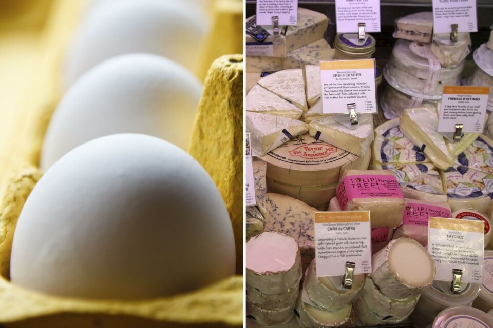 Foto egg: Cornelius Poppe, SCANPIX og foto ost: Justin Sullivan, AFP