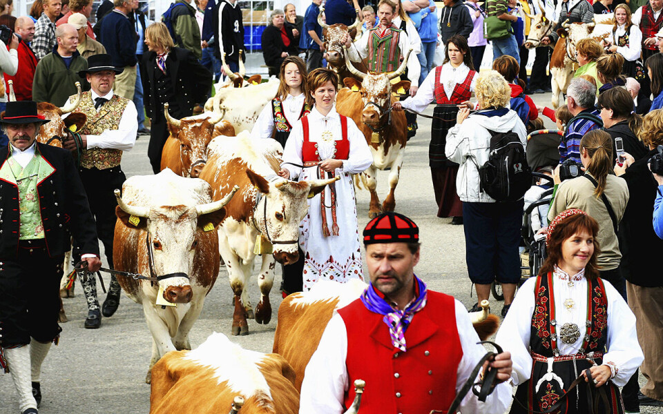 Bildet er fra Dyrsku’n eit tidlegare år.
