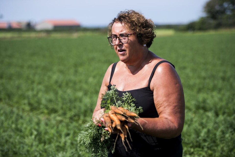 Matproduksjonen i Norge går som normalt, men med noe redusert kapasitet, sa landbruks- og matminister Olaug Bollestad (KrF) på gårsdagens pressekonferanse. Foto: Carina Johansen, NTB Scanpix