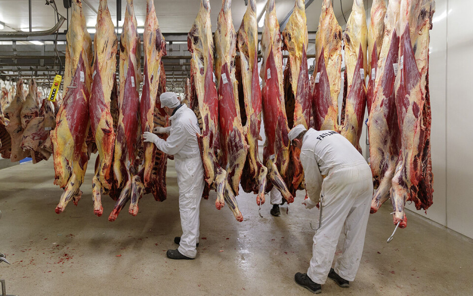 Lønnsoppgjøret for kjøttindustrien går til mekling. Bildet er fra Fatland slakteri på Furuset i Oslo.