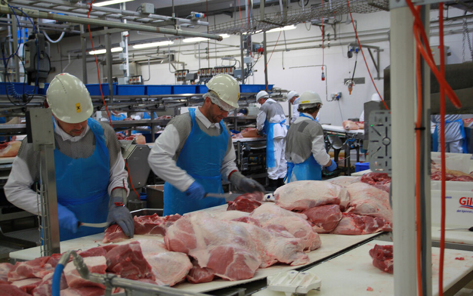 5. og 6. oktober er det mekling i lønnsoppgjøret for kjøttindustrien hos Riksmekleren. Bildet er fra Norturas anlegg på Rudshøgda, som ikke er omfattet av det første streikeuttaket.