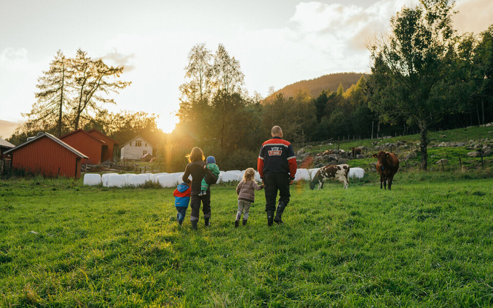 Tine troner øverst på Ipsos’ årlige omdømmeundersøkelse.