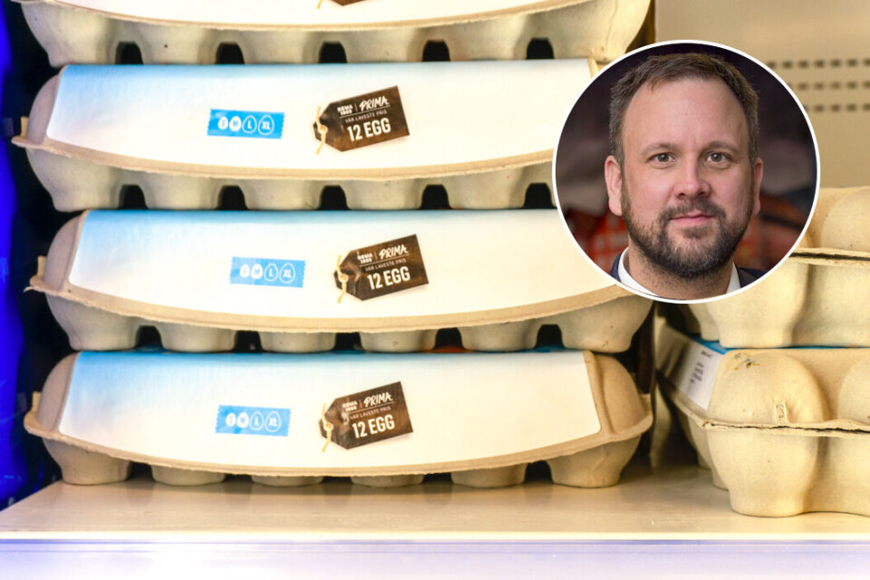 Egne merkevarer er bra for forbrukerne, skriver Sigurd Birkeland, leder av prosjekt dagligvare i Konkurransetilsynet. Foto av egg fra Rema: Arne Kongsnes