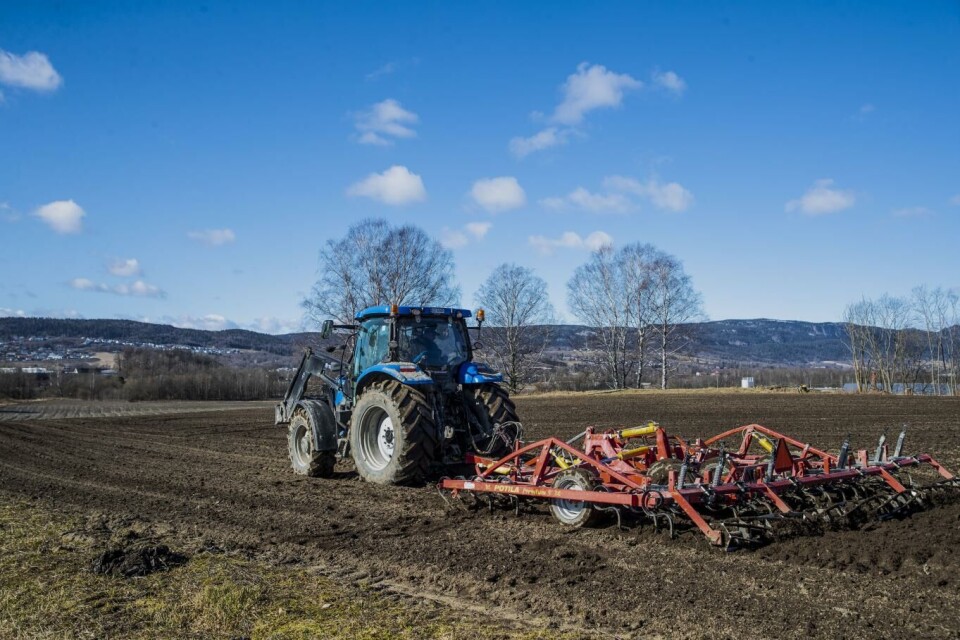 Behovet for arbeidskraft er særlig stort for bønder som driver med frukt og grønnsaker. Der trengs det mange tusen sesongarbeidere gjennom året. Foto: Terje Bendiksby, NTB scanpix