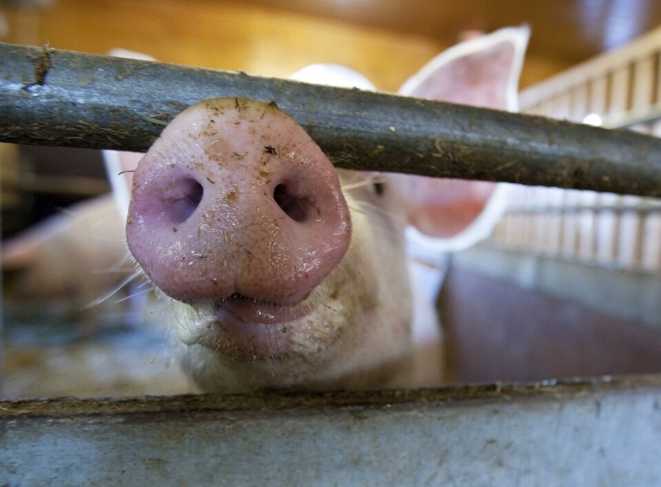 Illustrasjonsfoto: Gorm Kallestad, NTB