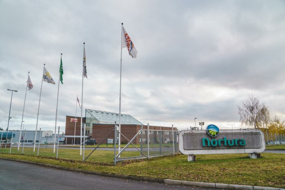 Nortura vil at Mattilsynet skal komme på flere uanmeldte besøk hos grisebønder for å avdekke brudd på dyrevelferden. Foto: Stian Lysberg Solum, NTB