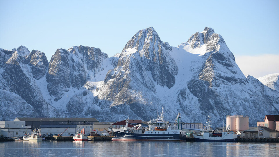 Orkla Health har kjøpt 95 prosent av aksjene i Vesterålen Marine Olje AS. Foto: Bjørn Eide