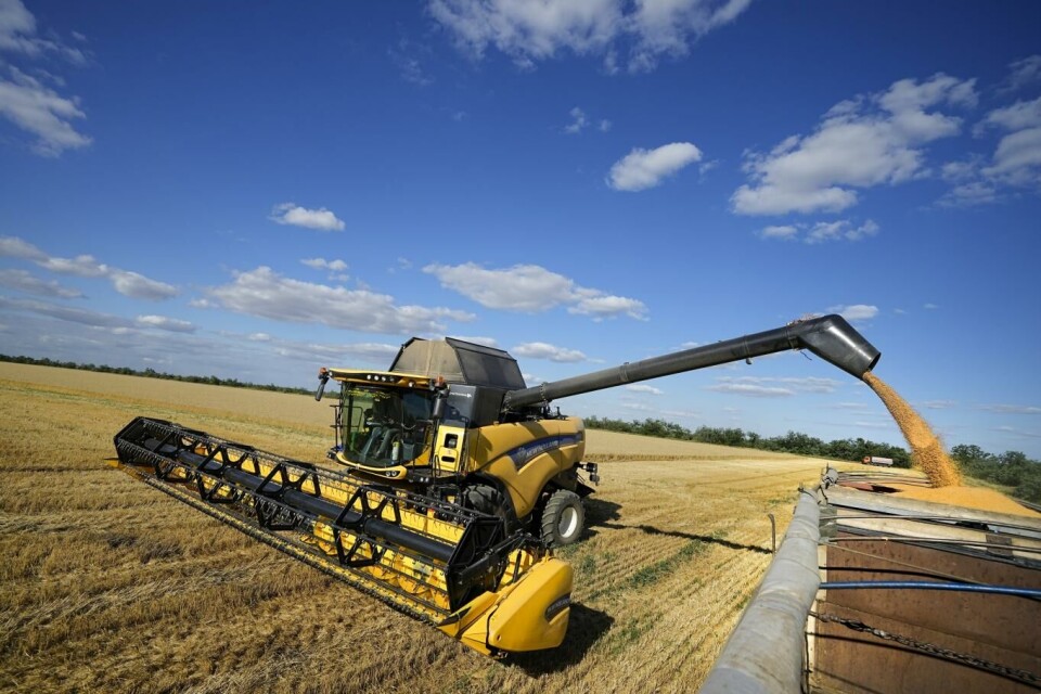Ukraina venter god kornhøst