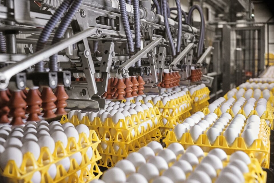 Pakker 24 millioner egg i ukene før påske