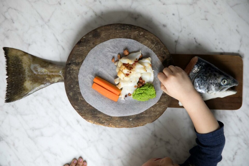 Et godt torskemåltid kan bli en sjelden affære hvis reduksjonen i torskebestanden varer. I sommer har det vært forbudt å fiske torsk i Oslofjorden og Skagerrak. Torsk som biter på, må kastes ut igjen. Foto: Tore Meek, NTB scanpix