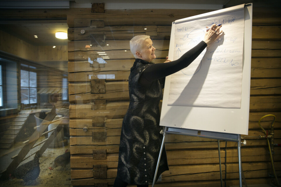 Vår løsning skal bidra til økt matproduksjon, med lavere utslipp og uten å øke arealbruken, sier gründer og daglig leder i N2 Applied Grete Sønsteby.