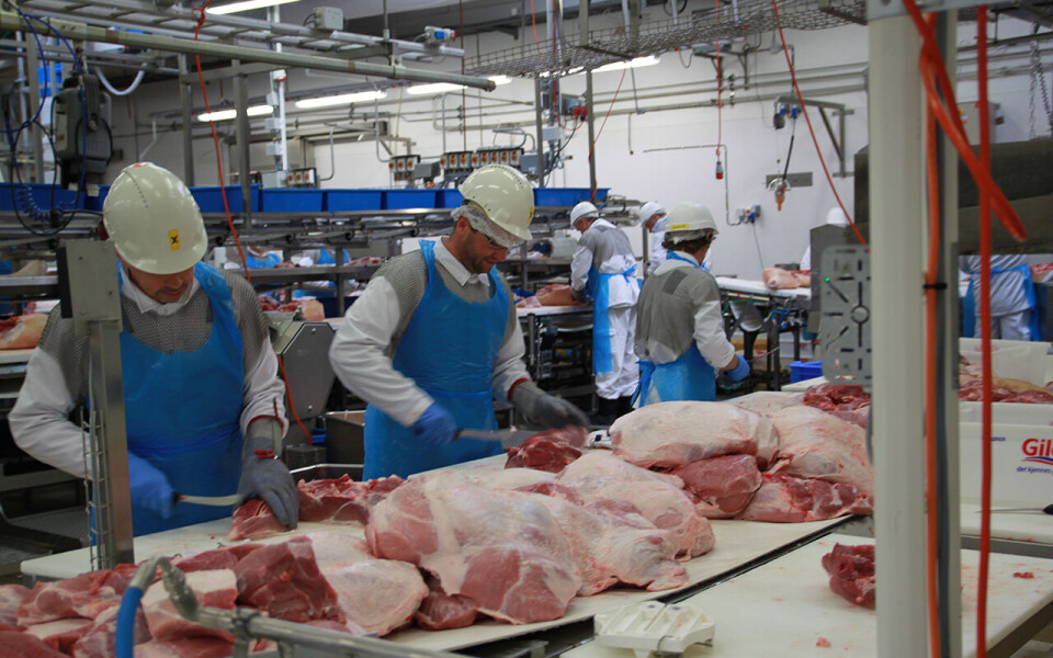 5. og 6. oktober blir det mekling i lønnsoppgjøret for kjøttindustrien hos Riksmekleren. Bildet er fra Norturas anlegg på Rudshøgda.