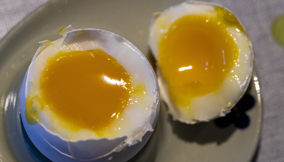 Sammenlignet med 2023, som også hadde en betydelig økning i eggimport, er 2024-importen rundt fem ganger høyere – så langt.