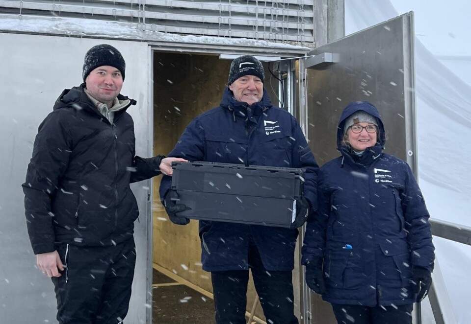 Landbruks- og matminister Geir Pollestad (Sp) sammen med representanter fra Skogfrøverket, like før frøpartier av gran og furu, samt de første foredlede frøpartiene av hengebjørk og svartor blir deponert i Svalbard Globale frøhvelv. Foto: Landbruks- og matdepartementet (LMD)