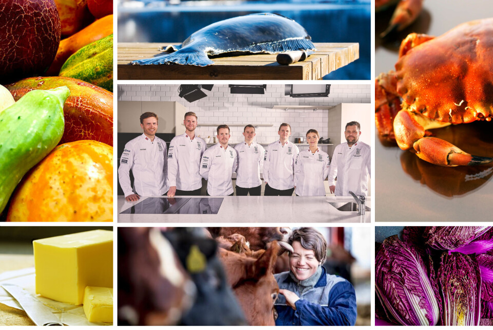 Kandidatene til Årets kokk 2023 har knappe fem måneder på å skape sine vinnerretter og sitt vinnerkonsept.