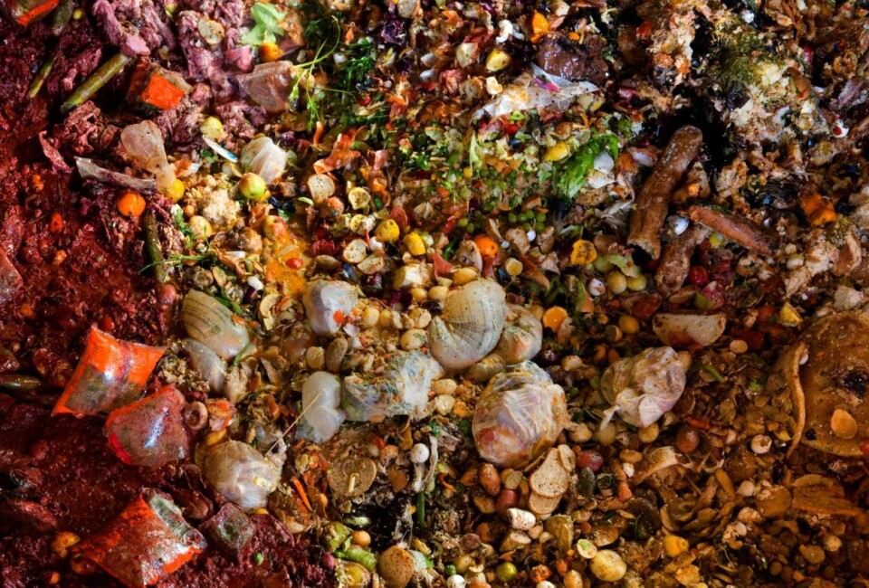 Hvert år kastes det mat til den svimlende sum av 12 milliarder kroner, i Norge alene. Foto: Knut Bry | Framtiden i våre hender