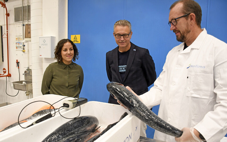 Fabrikksjef Stine Torheim ved Grieg Seafood i Alta på besøk hos Nofima sammen med statsråd Odd Emil Ingebrigtsen og forsker Bjørn Tore Rotabakk.