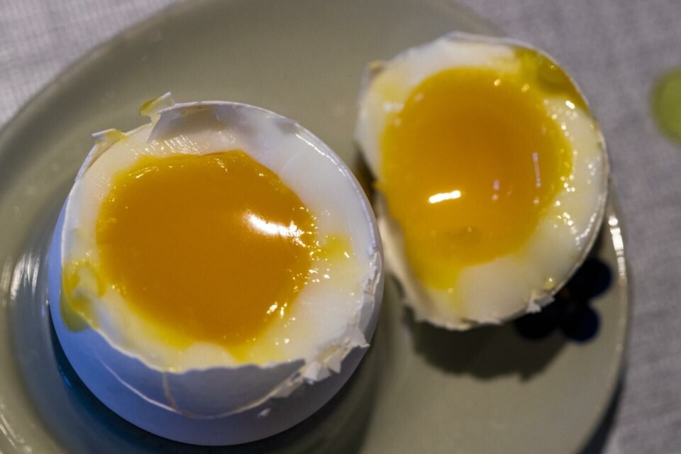 Svenskene håper egg-import fra Norge, Danmark og Finland skal dekke behovet i påsken.