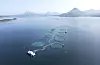 Lakseoppdretteren Mowi skal øke slaktevolumet og kutte kostnader fram mot 2029. Her fra et oppdrettsanlegg i havet ved Aukrasanden.