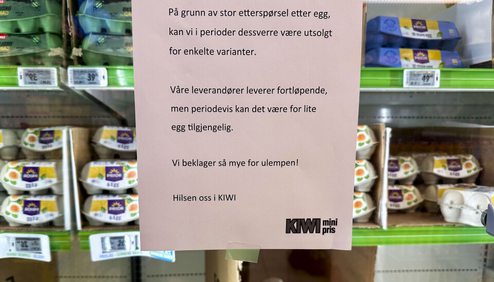 Den norske eggproduksjonen er ventet å falle med én prosent, samtidig som salget er ventet å øke med to prosent, ifølge Nortura. Det vil gi eggmangel, som Kiwi varsler om her. Den norske eggproduksjonen er ventet å falle med én prosent, samtidig som salget er ventet å øke med to prosent, ifølge Nortura. Det vil gi eggmangel, som Kiwi varsler om her.