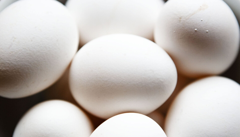 Omsetningsrådet har gitt Nortura medhold i måten de har levert egg til butikk på.