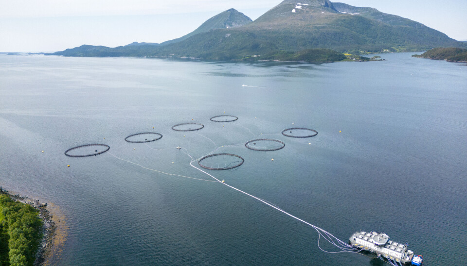 Tøft første kvartal for Salmar