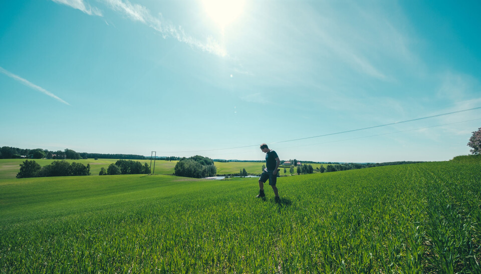 Norske bønder tar kort ferie, viser en ny undersøkelse. En betydelig andel nøyer seg med én uke.