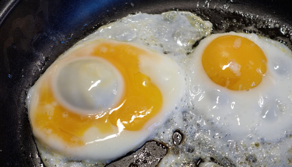 Trondheim 20230408. Speilegg i pannen.