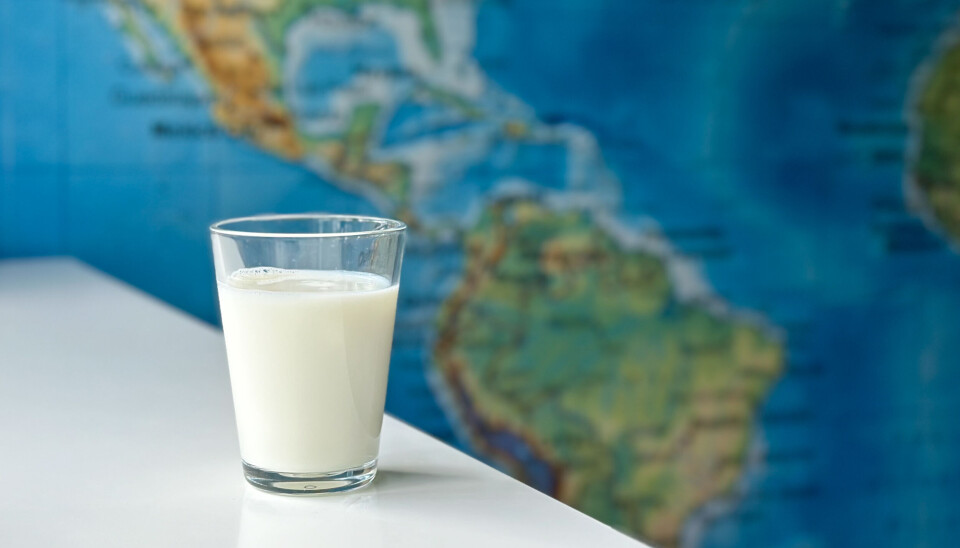 Norge ligger på 6. plass over land som drikker mest melk i verden. Helt på topp ligger Irland.