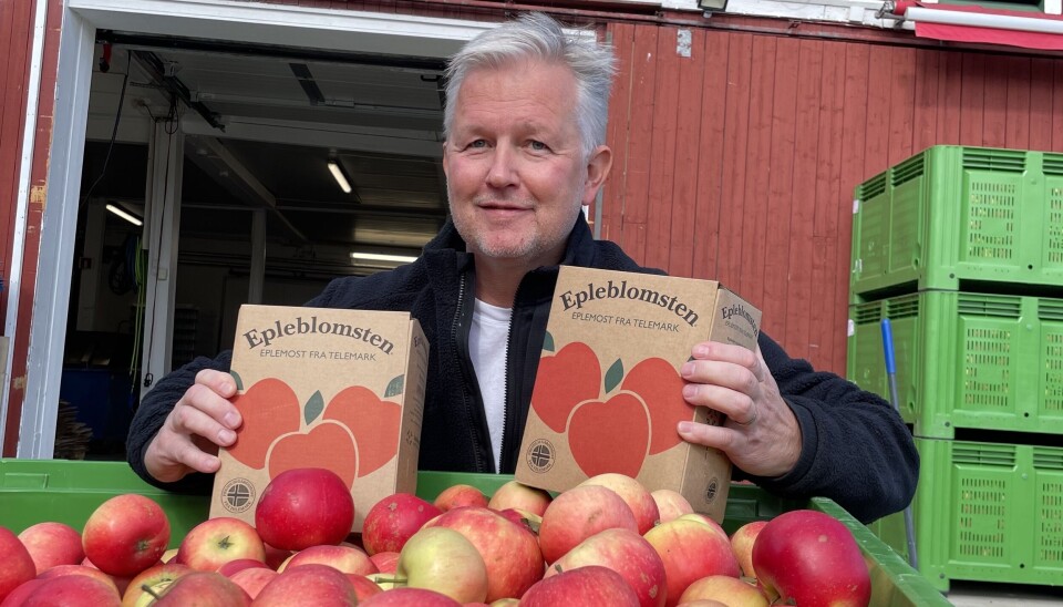 Sveinung Sauar, daglig leder i Epleblomsten, forteller at han ble kontaktet i juli av fortvilte bønder som meldte om store tap grunnet haglskader på eplene. Sveinung Sauar, daglig leder i Epleblomsten, forteller at han ble kontaktet i juli av fortvilte bønder som meldte om store tap grunnet haglskader på eplene.