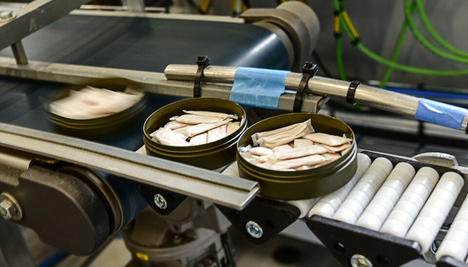 Den Norske Snusfabrikken har nesten doblet omsetningen fra i fjor, og øker salget fra 22 til cirka 42 millioner kroner i år.