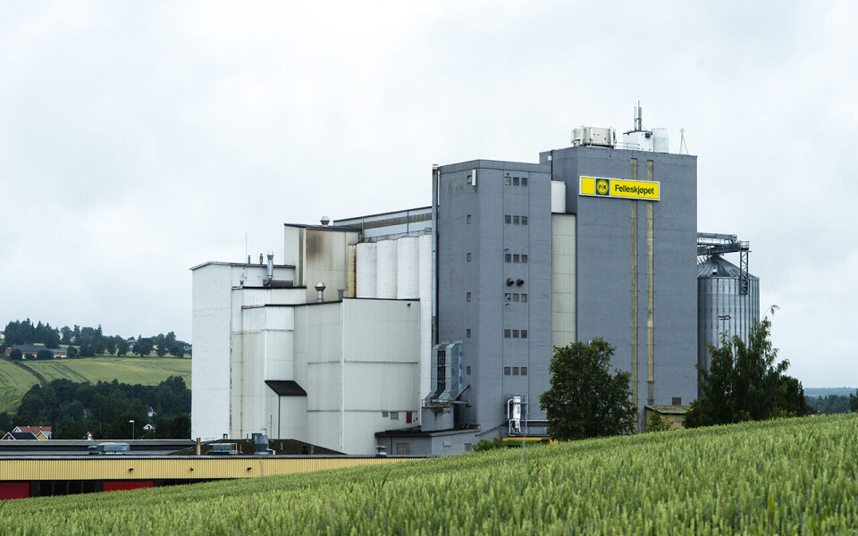 Foto Det er fortsatt uavklart når produksjon av økologisk kraftfôr kan starte opp igjen etter brannen. Foto: Annika Byrde / NTB scanpix