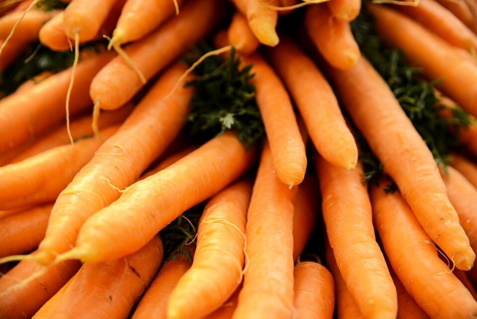 Nye grønnsakskart viser hvor i landet det er best egnet jord for å dyrke ulike grønnsaker.