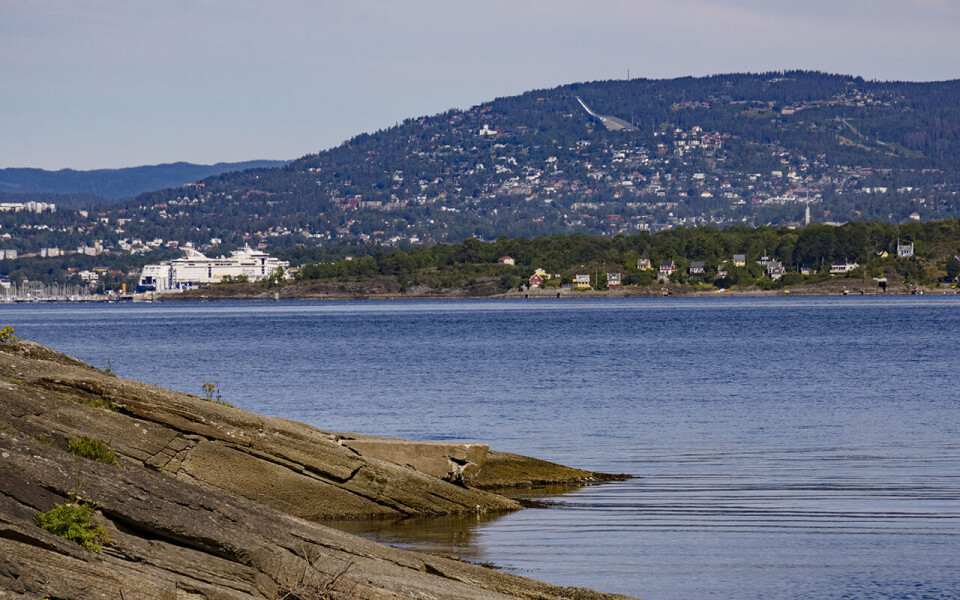 Bestanden av torsk og blåskjell i Oslofjorden har slitt den senere tiden. MDG mener at en løsning kan være å totalfrede hele fjorden.