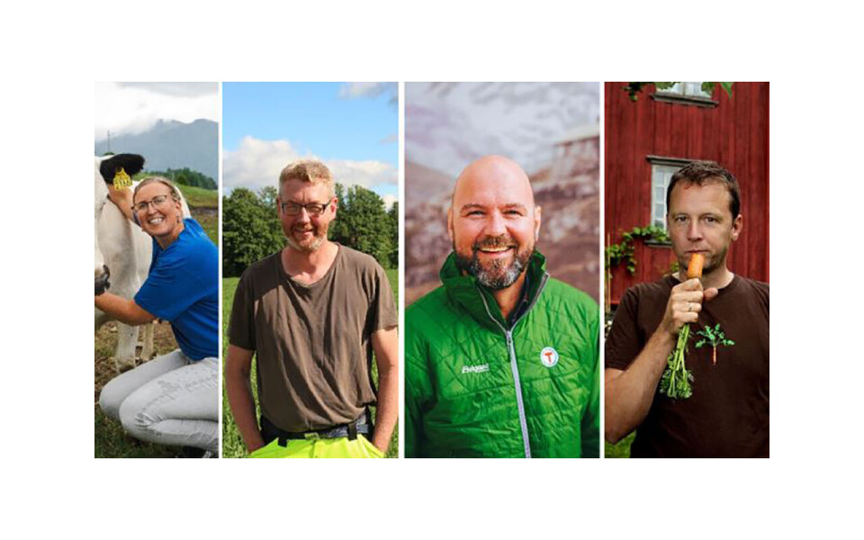 Den norske juryen: Kristin Waagen, Bjørn Gimming, Dag Terje Klarp Solvang og Andreas Viestad.