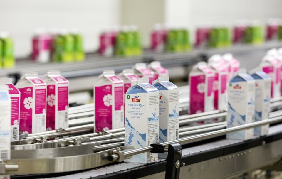 537 Tine-ansatte var klare til å streike om det ikke ble enighet i meklingen. Foto: Gorm Kallestad, NTB