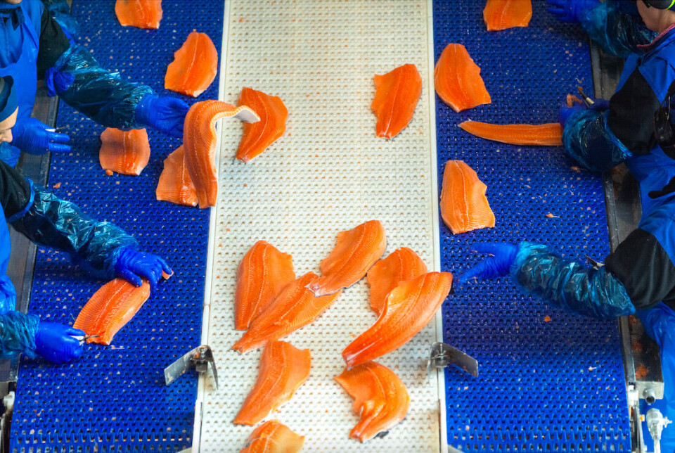 Fem fyker skaper neste alle verdiene for Norges sjømatnæring.