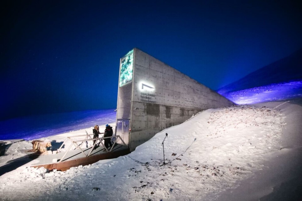 I frøhvelvet på Svalbard finnes det nå over en million frøprøver fra 87 ulike genbanker. Arkivfoto: Lise Åserud, NTB