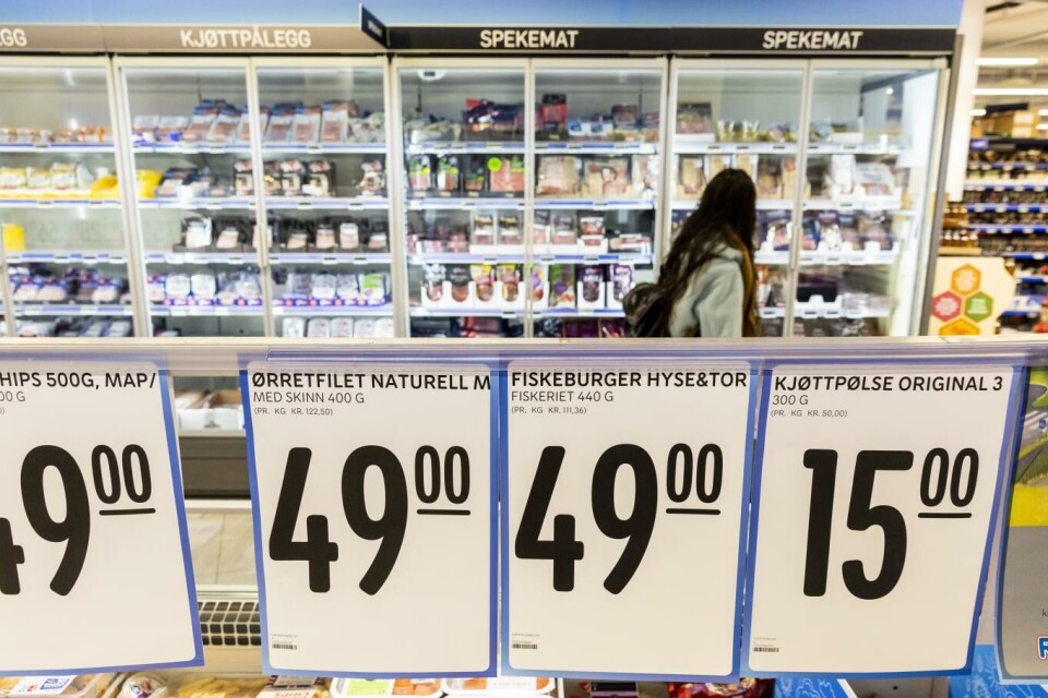 Konkurransetilsynet har avdekket at det er store forskjeller i hvor mye de ulike dagligvarekjedene må betale for varene. Rema 1000 krever svar fra leverandørene og har stilt forhandlinger med flere av dem i bero. Foto: Tore Meek, NTB scanpix