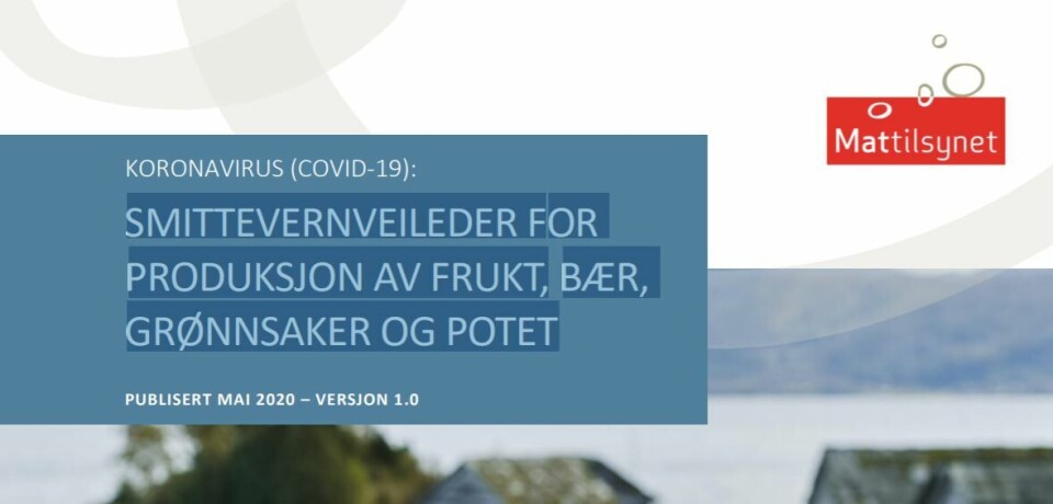Foto Torsdag kom den smittevernveielederen for produksjon av frukt, bær, grønnsaker og potet. Dette er et utsnitt av forsiden av den 23 sider lange veilederen fra Mattilsynet.