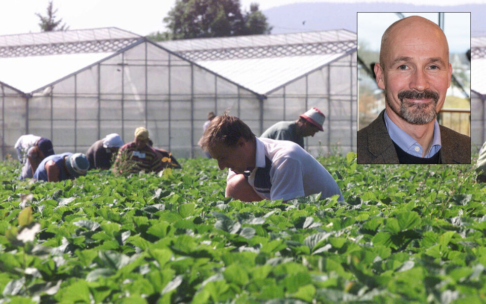 Terje Sletnes (innfelt) i NHO Mat og Drikke mener den nye smittevernveilederen setter uforholdsmessige begrensninger for matproduksjon i grøntsektoren.