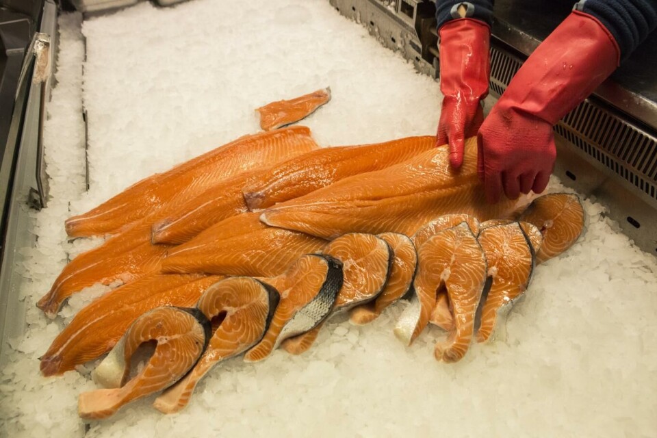 Den største kjøperen av norsk laks i 2019 var Polen, men de kjøper først og fremst laksen for å foredle den og selge den videre i EU. Foto: Jan-Morten Bjørnbakk, NTB scanpix