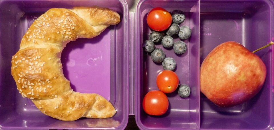 Matboks med horn, tomater, ost, blåbær og epler på skole. Foto: Gorm Kallestad, NTB