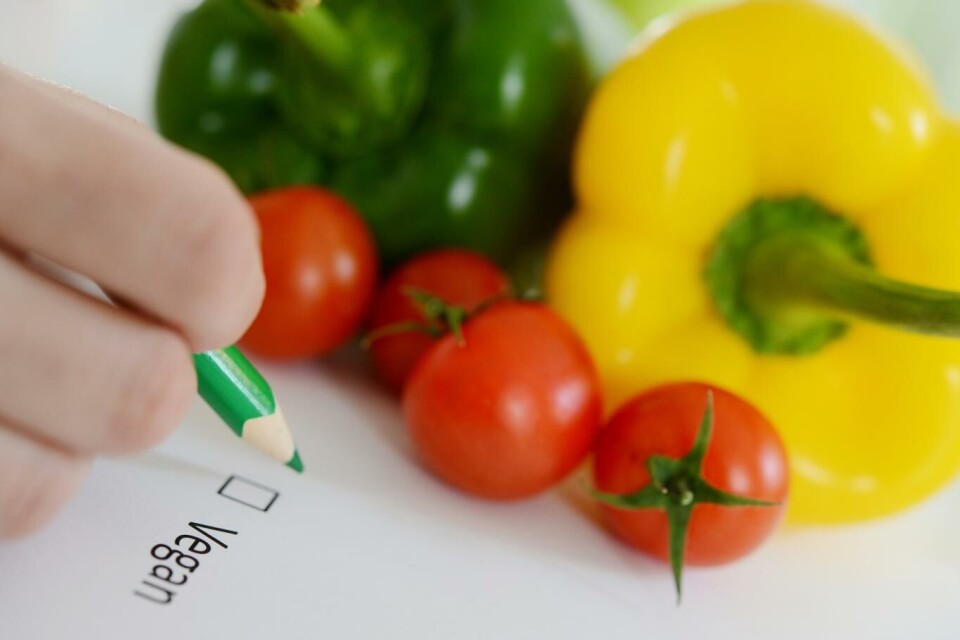 Norsk vegansamfunn mener vegantreff er en livssynsaktivitet. Illustrasjonsfoto: Frank May, NTB