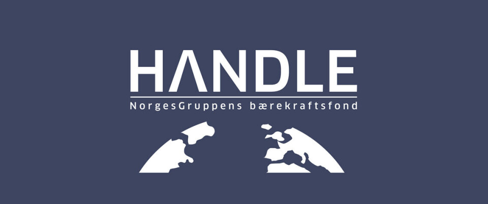 Norgesgruppen lanserer bærekraftsfond - vil ha mer samarbeid på tvers av verdikjeden.