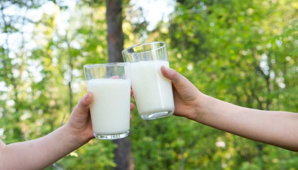 1. juni er verdens melkedag: Vanlig hvit melk er noe av det folk vil savne mest om råvaren melk og dermed alle meieriprodukter forsvant.