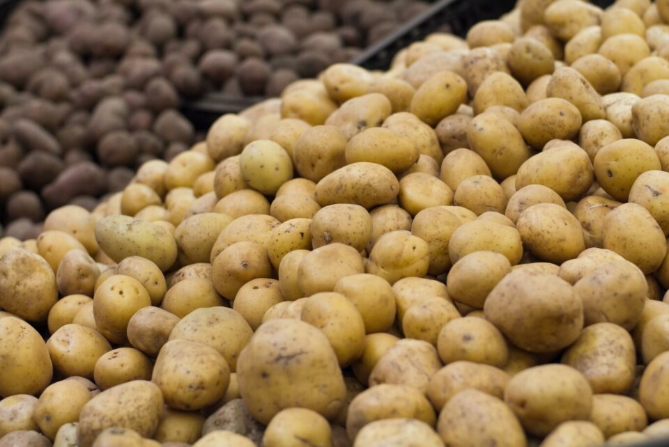 Foto: Blinoff, Dreamstime.com