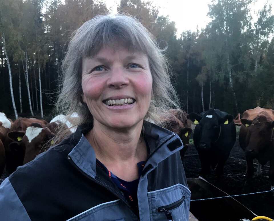 Kjersti Hoff fra Løten blir ny leder i Norsk Bonde- og Småbrukarlag. Foto: Norsk Bonde- og Småbrukarlag, NTB scanpix